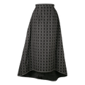 Skirt-2